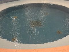 -百姓康洁洗浴中心