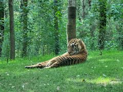 -北京野生动物园