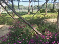 -回龙观体育文化公园