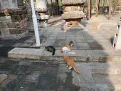 -四门塔风景区