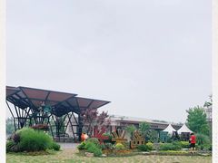 -上海长兴岛郊野公园