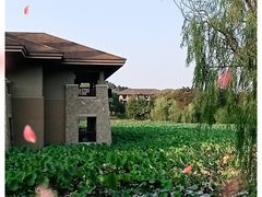 -良渚君澜度假酒店·中餐厅