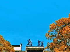 -乌镇东栅景区