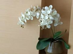 -北京园博大酒店