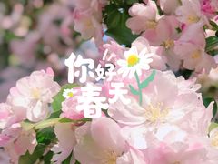 -海棠花溪(元大都城垣遗址公园)