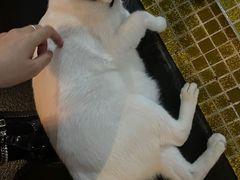 -Doors独立剧情密室(东门分店)