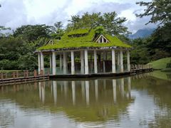 -中国科学院西双版纳热带植物园