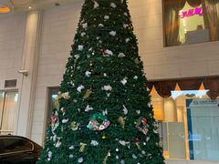 -白金汉爵大酒店·中餐厅(相城店)