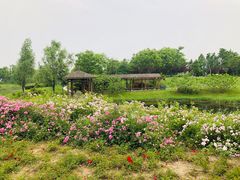 -尚贤河湿地