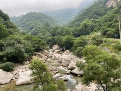 -沣峪口