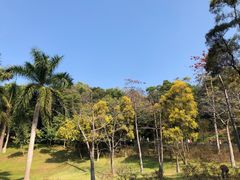 -广州市白云山风景名胜区