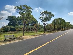 -漕湖湿地公园