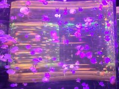 -邯郸海洋世界
