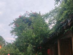 -鲤院·新中式美学·庭院餐厅(夫子庙店)