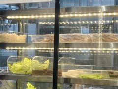 -京朋串屋·烧烤(望京西路总店)