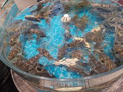 -汇丰海鲜(东亚·世纪城文脉苑店)