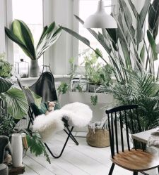 -雪儿·YuKi美甲美睫皮肤管理Salon