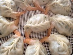 -小叶大馅饺子城
