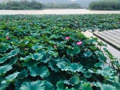 -江南大学(蠡湖校区)