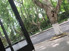 -也枫·小黄楼(南山路旗舰店)