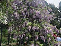 -国家植物园南园