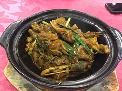子姜焖青头鸭-蛇平饭店(明园路店)