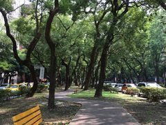 -陈铁心台湾料理