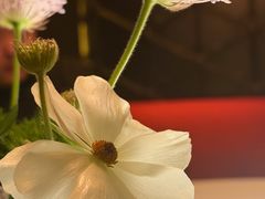 -莉莉海堂HAITANG·烤鸭(国贸商城店)