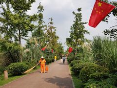 -白鹭湾湿地公园