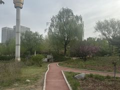 -滨河世纪广场公园