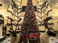 -Salon de Ville浦江汇(上海外滩华尔道夫酒店店)