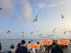 -星海广场