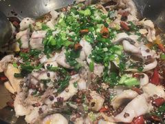 -百岁鱼(七一路店)