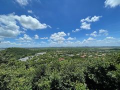 -上海佘山国家森林公园西佘山园