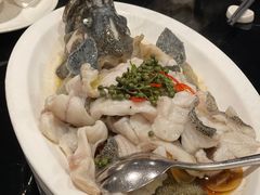 青花椒蒸龙胆鱼-闽和南(深圳万象城店)