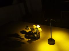 -悦哉·派对·草坪婚礼·围炉煮茶(三圣乡店)