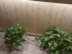 -怡心阁·水疗SPA(天府广场店)