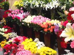-花样年华花艺生活馆(恒泉花园店)