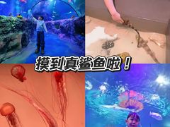 -沈阳海洋探索中心