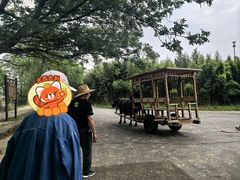 -杭州双溪漂流景区
