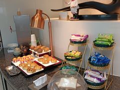 -虹桥机场国航贵宾室v8