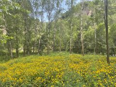 -玉渡山自然风景区