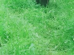 -沈阳森林动物园