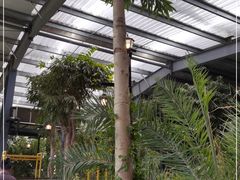 -云境生态园(红谷滩店)