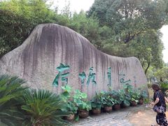 -荷塘月色湿地公园·向阳花洲