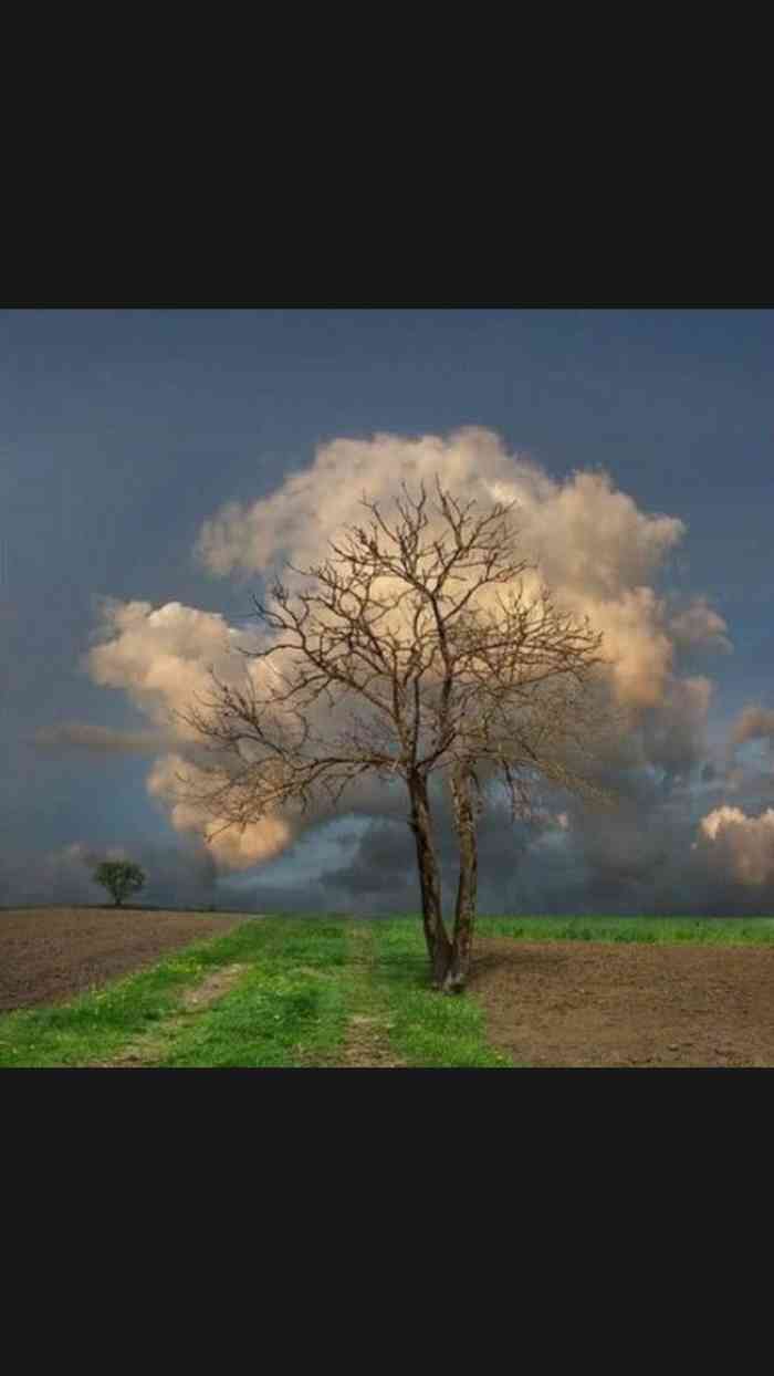 万达广场(滨湖店)