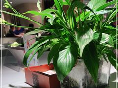 -大鸭梨烤鸭(枣园店)