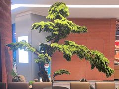 -许爷家·生态湖鲜(徐汇日月光店)