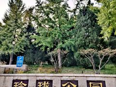 -玲珑塔公园