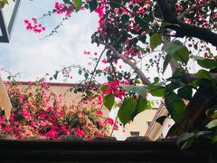 -大厝宅海鲜馆